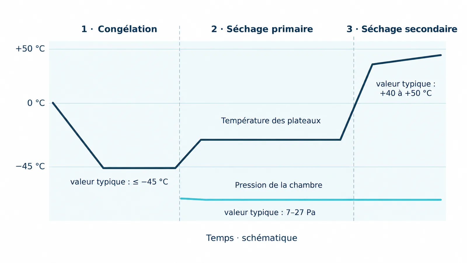 Graphique schématique de lyophilisation en trois étapes : la congélation refroidit les plateaux de 0 °C à une valeur typique de ≤ −45 °C; le séchage primaire les réchauffe tout en restant sous 0 °C à une pression typique de la chambre de 7–27 Pa; le séchage secondaire les porte à une valeur typique de +40 à +50 °C pendant que la pression reste basse.