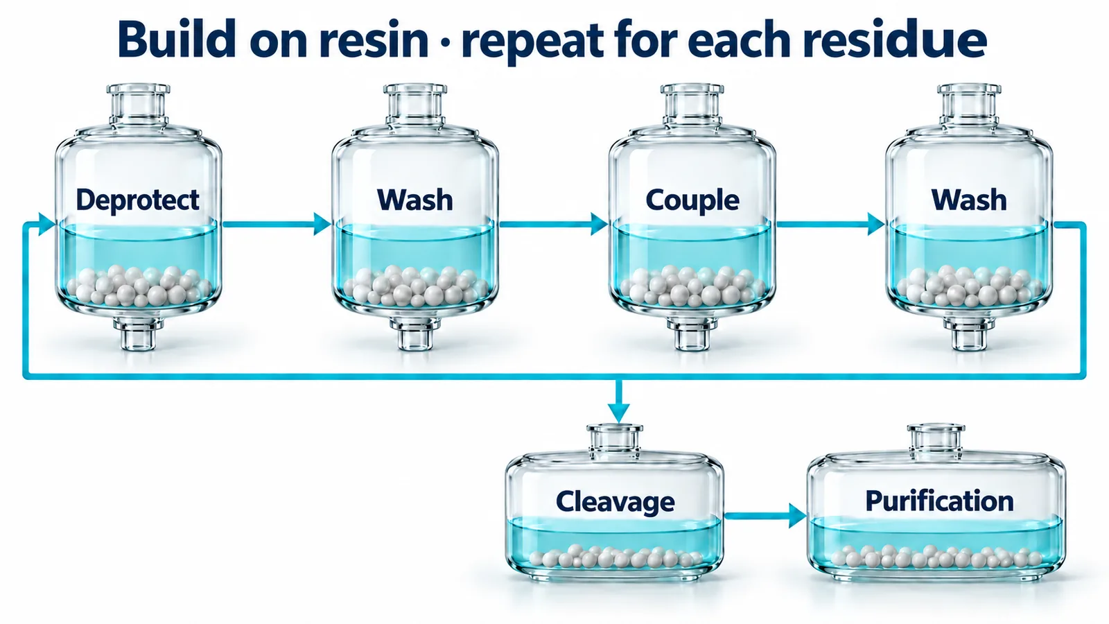 Solid-phase synthesis loop on resin: deprotect, wash, couple, wash, then repeat for each residue. An exit from the loop leads to cleavage and then purification. Four glass vessels form the loop and two lower vessels show the final stages.